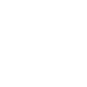 Electrical services icon.