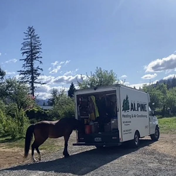 Alpine work vehicle with a horse standing next to it.
