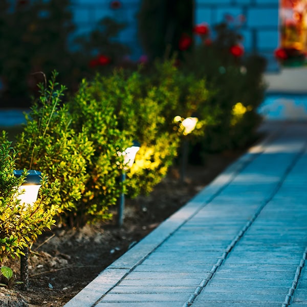Outdoor solar lights next to the walkway of a home.